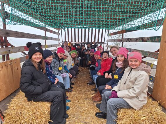 WhatsApp Image 2025-11-11 at 20.52.05-2